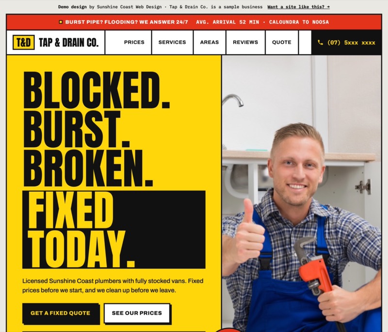 Tap & Drain Co. demo website design